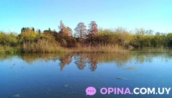 Veterinaria El Trebol Mercedes - Florencio Sanchez