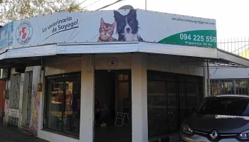 Veterinaria El Zorzal - 12900 Montevideo