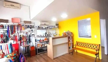 Veterinaria La Carolina - 20400 San Carlos