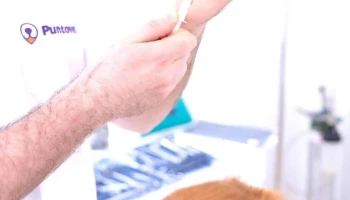 Veterinaria La Clínica - 11600 Montevideo