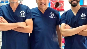 Veterinaria La Huella - 50000 Salto