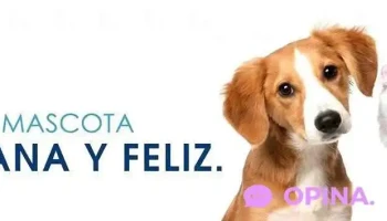 Veterinaria La Jungla - 11200 Montevideo