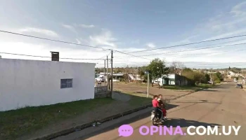 Veterinaria La Pelu - 50000 Salto