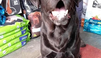 Veterinaria La Siete - 15300 Parque Del Plata