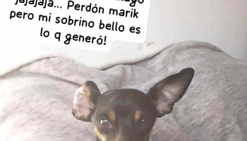 Veterinaria La Unión - Montevideo