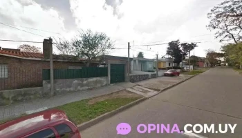 Veterinaria Latidos - 11900 Montevideo