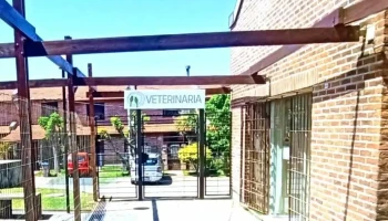 Veterinaria Los Horneros - 15800 Ciudad De La Costa