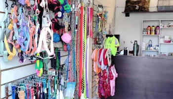 Veterinaria Luna Llena - Brigadier Gral. Fructuoso Rivera