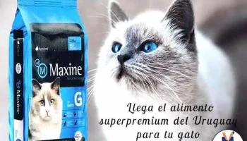 Veterinaria Machado. - Av. Feliciano Viera 807