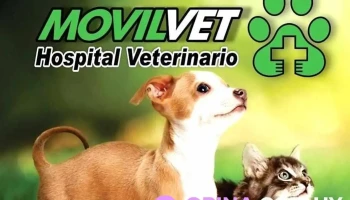 Veterinaria Movilvet - 11600 Montevideo
