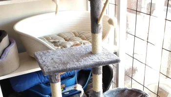 Veterinaria Nan - Paysandú