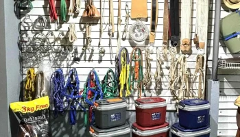 Veterinaria Pando - 15600 Pando