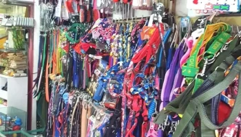 Veterinaria Plaza - 90000 Canelones