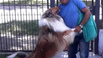 Veterinaria Quirón - 11700 Montevideo