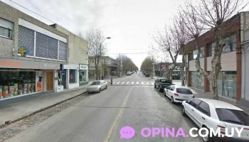 Veterinaria Salud Animal - 70000 Col. Del Sacramento