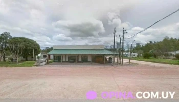 Veterinaria San Jacinto - 96500 Alejandro Gallinal