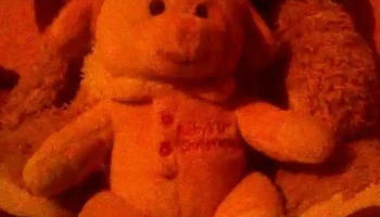 Veterinaria Sangre Nueva - Jose Hilario Uriarte 1110