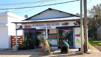 Veterinaria Todo Bichos - San Antonio