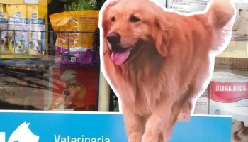 Veterlab - 11400 Montevideo