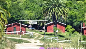 Vigilancia de los Indios - Minuano