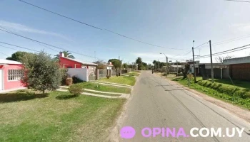 violeta - Canelones violeta - Canelones