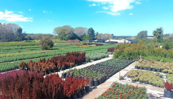 Vivero Altair - 11000 Montevideo