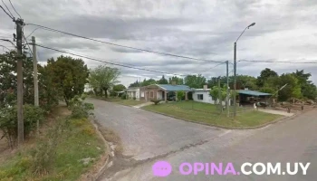 vivero ceibo viejo - 80300 Ecilda Paullier