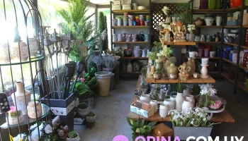 Vivero El Ceibo - 11500 Montevideo