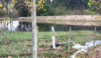 Vivero Forestal Altos del Yi - Santa Bernardina Vivero Forestal Altos del Yi - Santa Bernardina