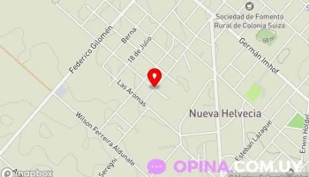 Vivero Girasol - 70300 Nueva Helvecia