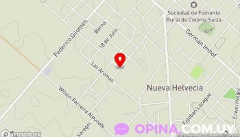 Vivero Girasol - 70300 Nueva Helvecia