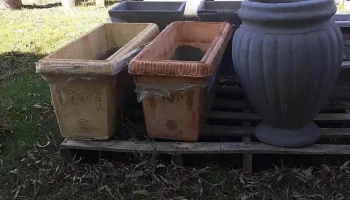 Vivero km47 - Departamento De San José