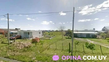 Vivero las brujitas - 37100 Rio Branco Vivero las brujitas - 37100 Rio Branco