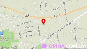 Vivero Manantial - 33000 Ejido De Treinta Y Tres