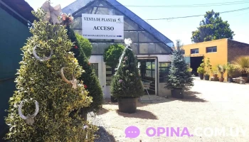 Vivero Musacco - Ex 2444