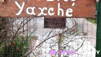 Vivero Yaxché - Paysandú