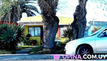 Wa_mi_peluquería - 27000 Rocha