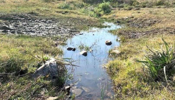 Waslala Posada de Campo - Departamento De Florida Waslala Posada de Campo - Departamento De Florida