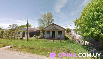 Young - Ombúes De Lavalle