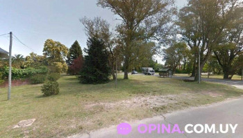 Zambrano Propiedades - Montevideo