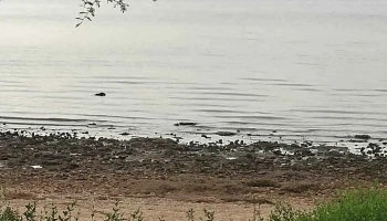 Zona Panorámica Fray Bentos - Fray Bentos