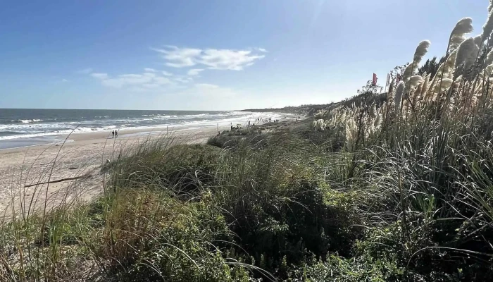 0 Es 3 -  Comentario 3 - Cuchilla Alta