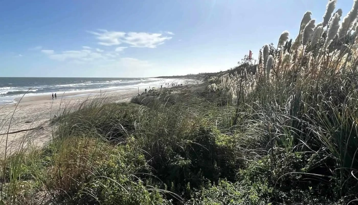 0 Es 3 -  Comentario 4 - Cuchilla Alta