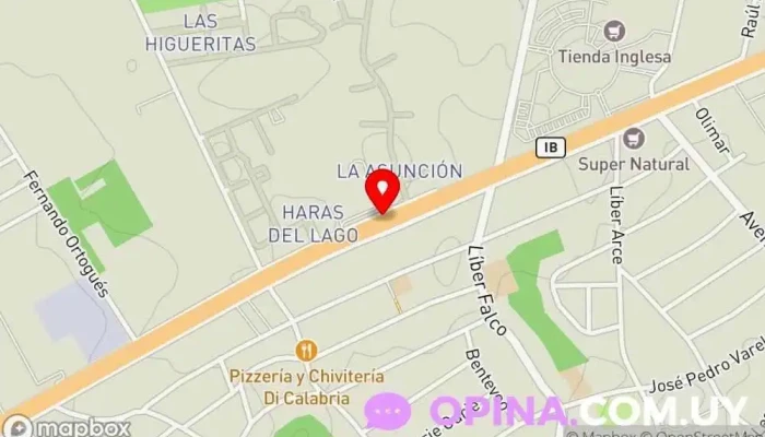 mapa de 2033 La reconexion Librería en Ciudad de la Costa