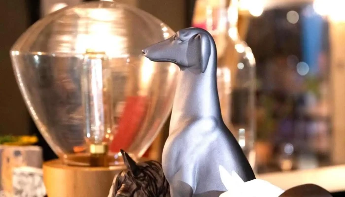 3musas   Libreria Del Propietario - Maldonado