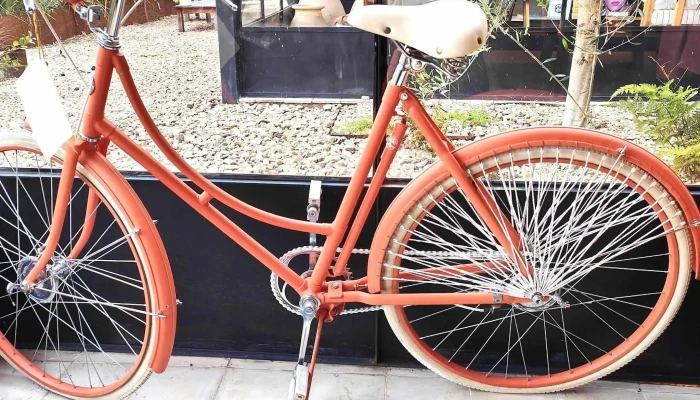 3musas   Libreria Direccion - Maldonado