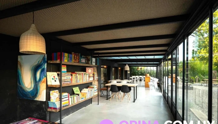 3musas   Libreria Interior - Maldonado