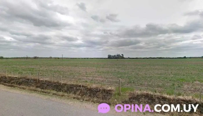 90.1 Fm Ideal - Santa Lucía