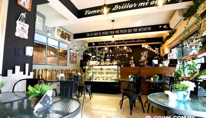 A Brillar Cafe -  Ambiente - Punta del Este