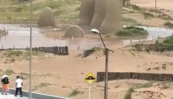 A Brillar Cafe -  Del Propietario - Punta del Este